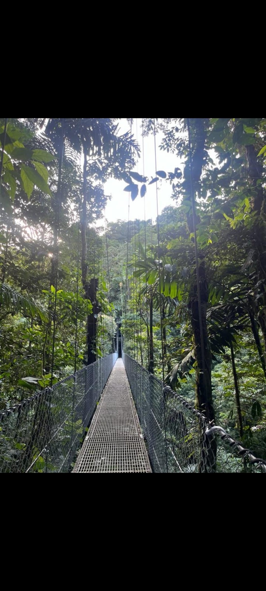Hanging bridge through the Arenal rainforest, La Fortuna